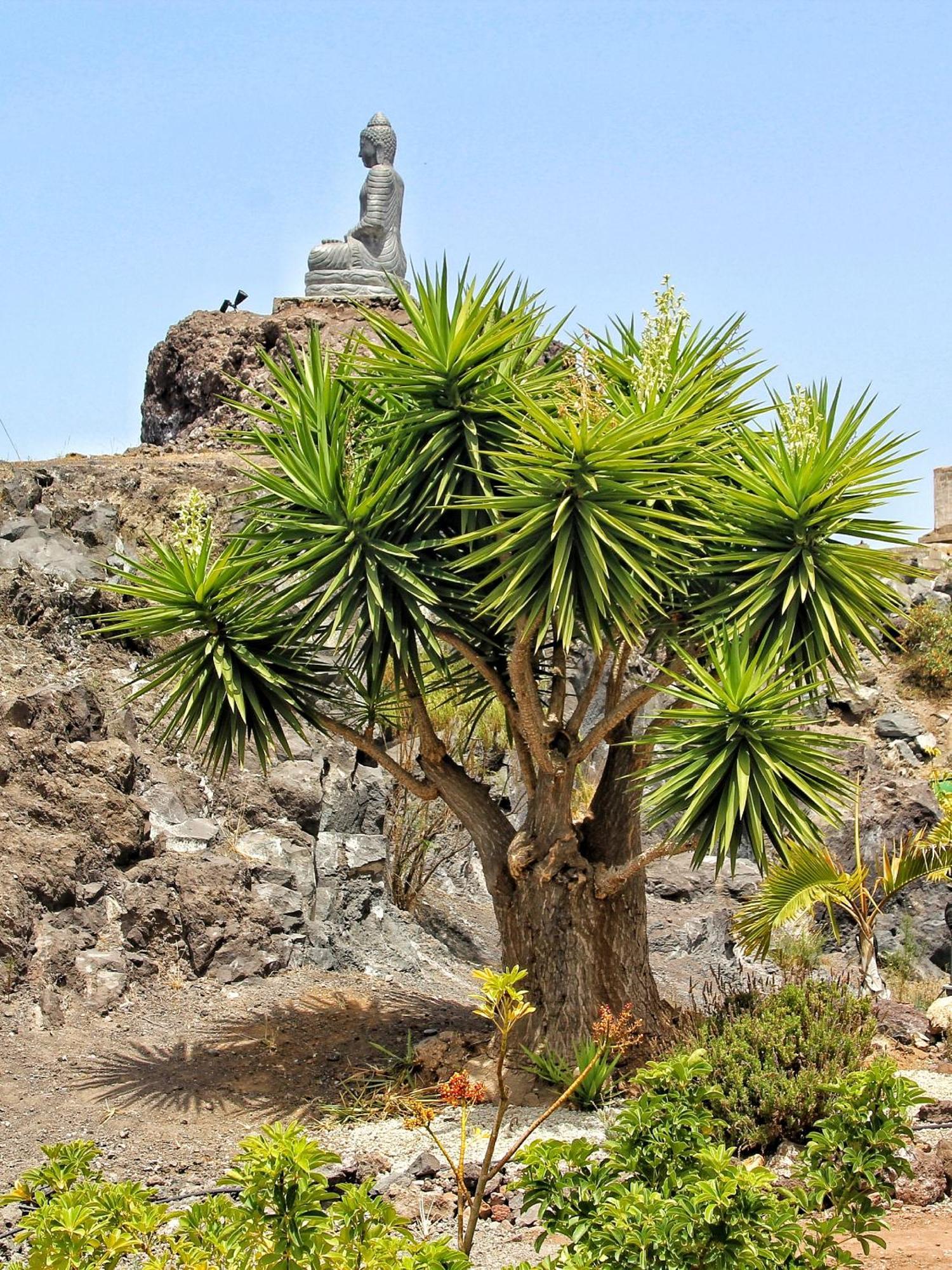 Finca Berolo 4 غيا ذي إسورا المظهر الخارجي الصورة